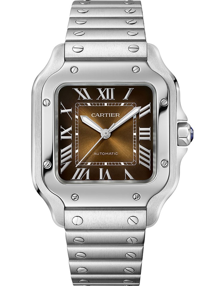 Cartier Santos de Cartier 35mm WSSA0065