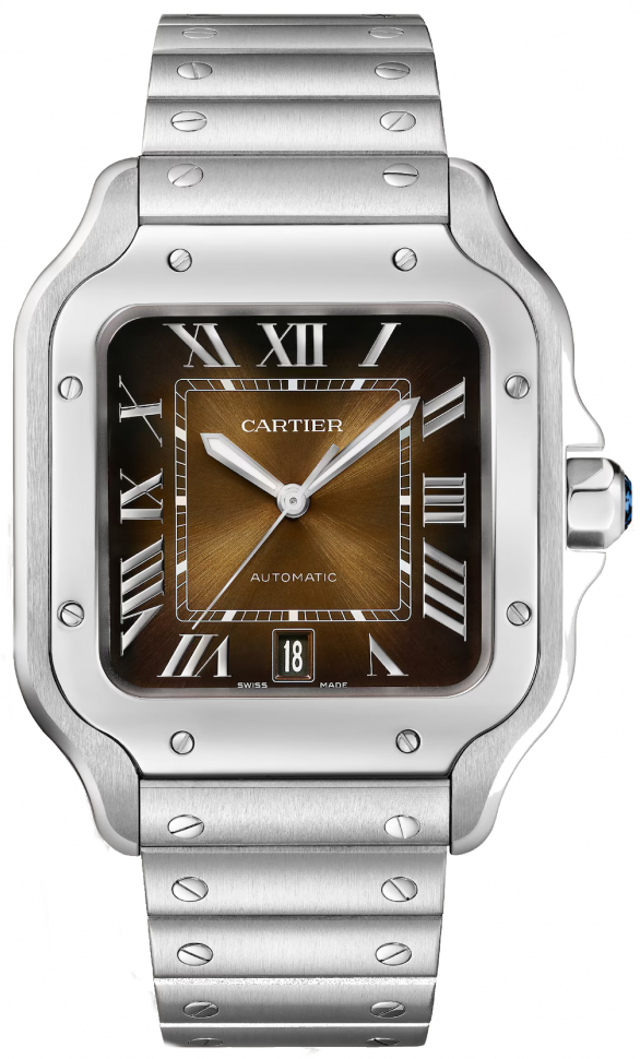 Cartier Santos de Cartier WSSA0064