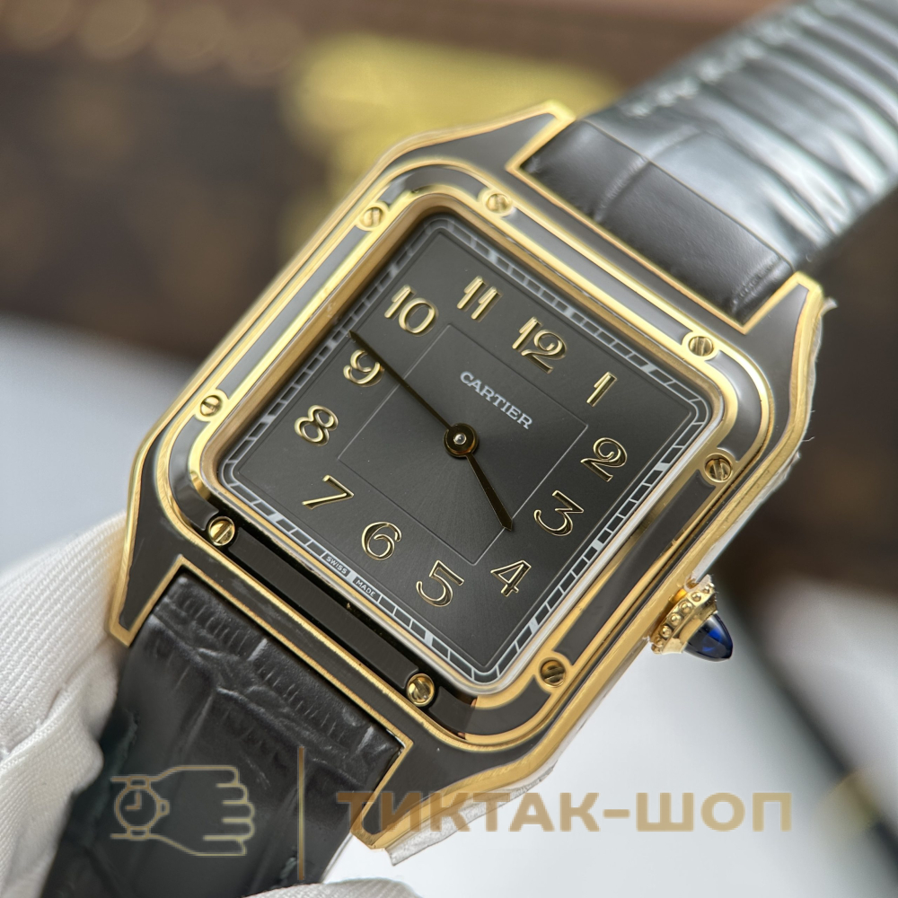 Cartier Santos-Dumont Large model WGSA0097