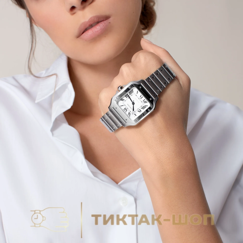 Cartier Santos 35mm WSSA0029