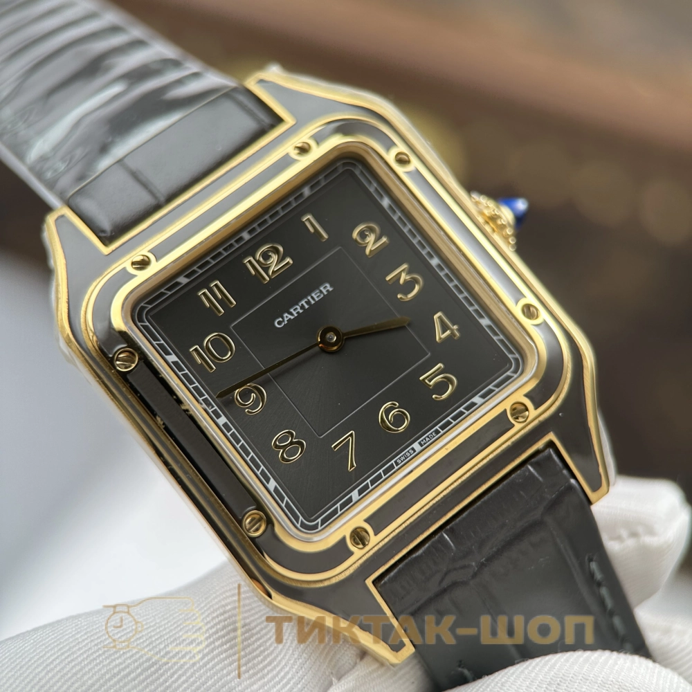 Cartier Santos-Dumont Large model WGSA0097