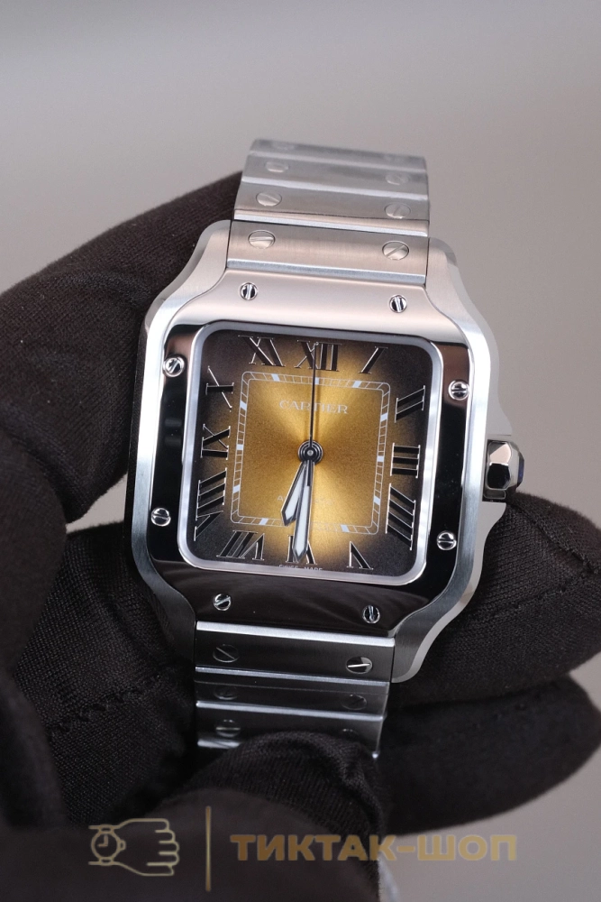 Cartier Santos de Cartier 35mm WSSA0065