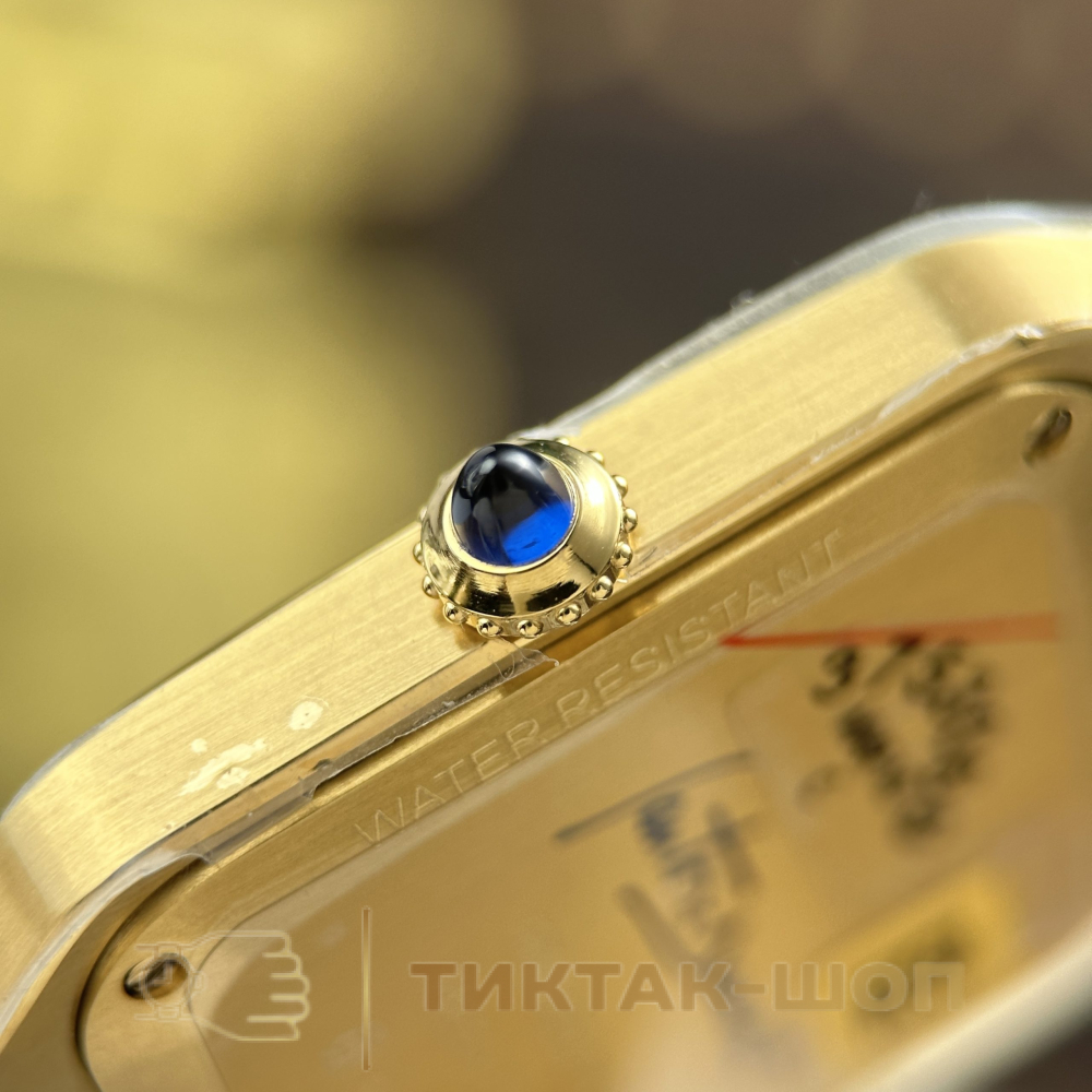 Cartier Santos-Dumont Large model WGSA0097