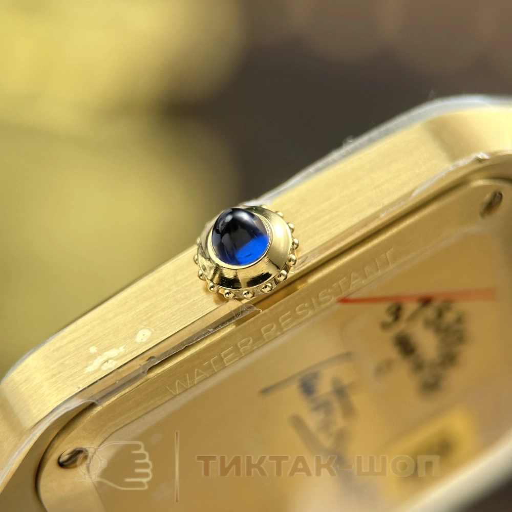 Cartier Santos-Dumont Large model WGSA0097