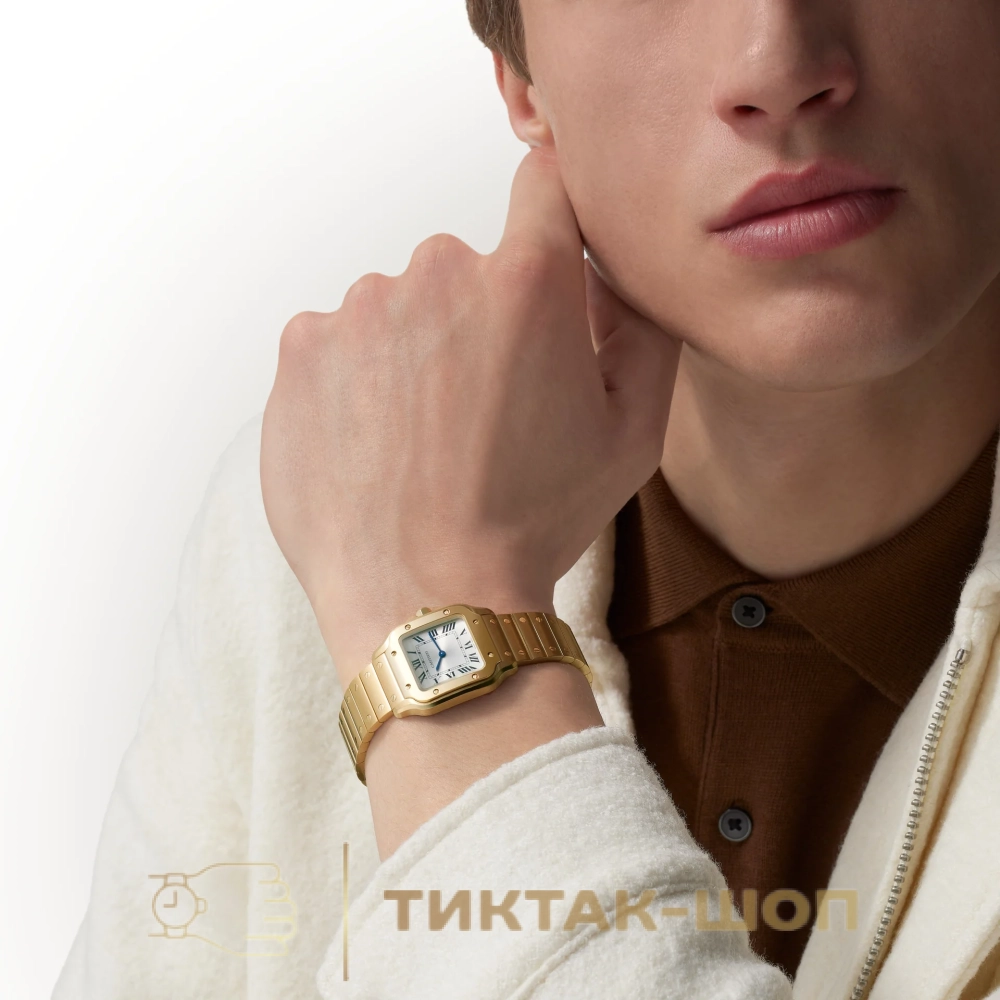 Cartier Santos de Cartier 27mm WGSA0107