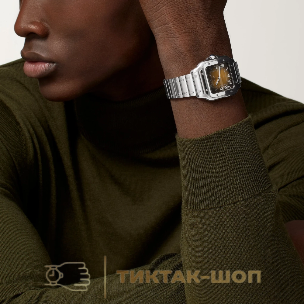 Cartier Santos de Cartier 35mm WSSA0065