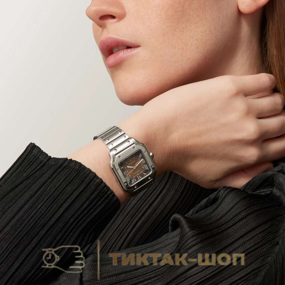 Cartier Santos de Cartier 35mm WSSA0065