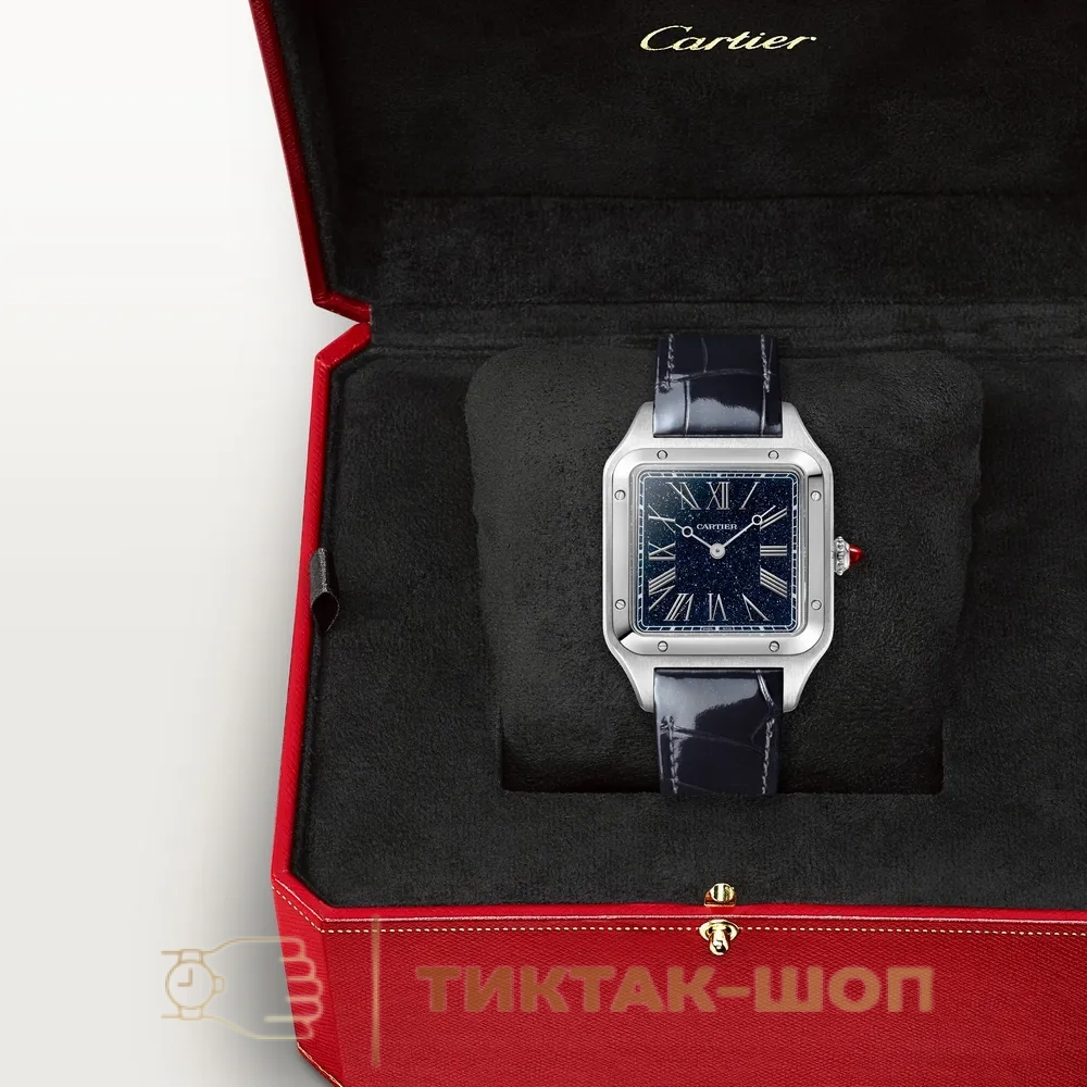 Cartier Santos-Dumont Large model WGSA0099