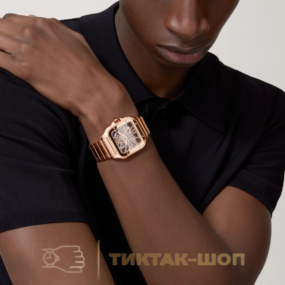 Cartier Santos Skeleton WHSA0016